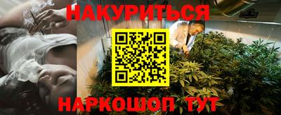 шишки Гай