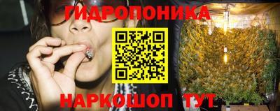 гидра Берёзовский
