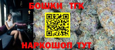 гидра Берёзовский