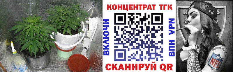 сколько стоит  Губаха  блэк спрут маркетплейс  ТГК Wax 