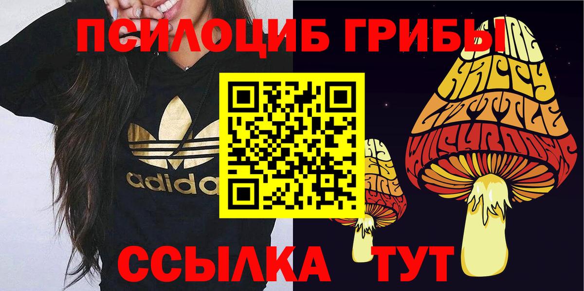 Галлюциногенные грибы Cubensis Губаха