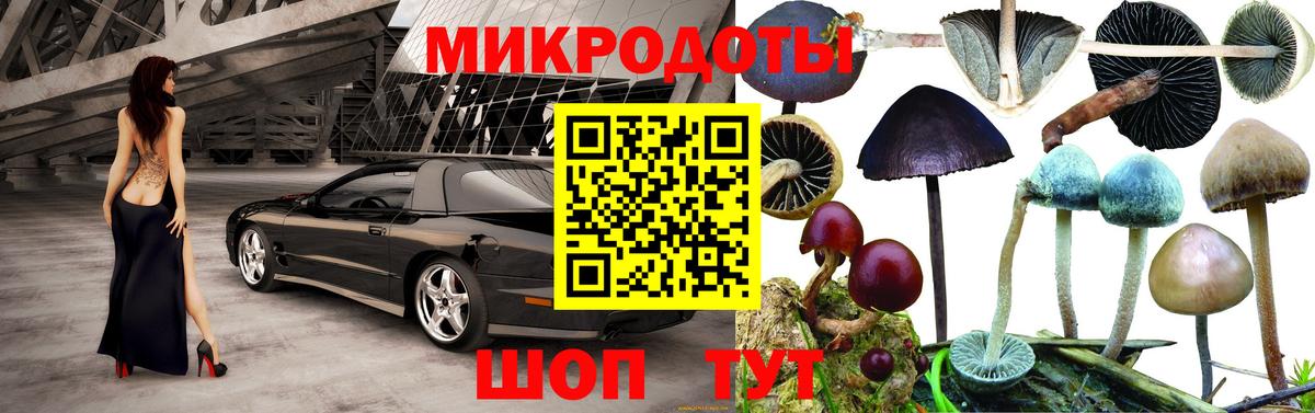 Галлюциногенные грибы Cubensis  Вход с VPN  Псилоцибиновые грибы Cubensis  Губаха 